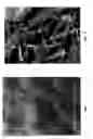 Fig. 02 - METHODS OF MINIMIZING CONCRETE CRACKING AND SHRINKAGE