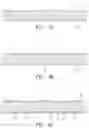 Fig. 03 - Package structure of photoelectronic device and fabricating method thereof