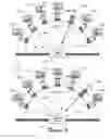 Fig. 06 - Photodiode-based bi-directional reflectance distribution function (BRDF) measurement