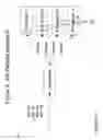 Fig. 06 - PARALLEL PROCESSING OF PAGE DESCRIPTION LANGUAGE