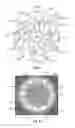 Fig. 07 - Optic Coupler for Light Emitting Diode Fixture