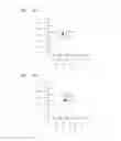 Fig. 07 - Pattern recognition method and apparatus for data protection
