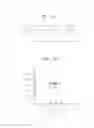 Fig. 09 - Pattern recognition method and apparatus for data protection
