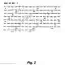 Fig. 03 - Insulin-responsive DNA binding proteins-1 and methods to regulate insulin-responsive genes