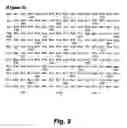 Fig. 21 - Insulin-responsive DNA binding proteins-1 and methods to regulate insulin-responsive genes