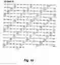 Fig. 24 - Insulin-responsive DNA binding proteins-1 and methods to regulate insulin-responsive genes