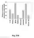 Fig. 41 - Insulin-responsive DNA binding proteins-1 and methods to regulate insulin-responsive genes