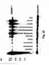 Fig. 43 - Insulin-responsive DNA binding proteins-1 and methods to regulate insulin-responsive genes