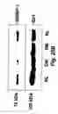 Fig. 47 - Insulin-responsive DNA binding proteins-1 and methods to regulate insulin-responsive genes