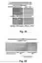 Fig. 54 - Insulin-responsive DNA binding proteins-1 and methods to regulate insulin-responsive genes