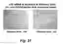 Fig. 56 - Insulin-responsive DNA binding proteins-1 and methods to regulate insulin-responsive genes