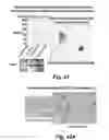 Fig. 60 - Insulin-responsive DNA binding proteins-1 and methods to regulate insulin-responsive genes