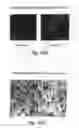 Fig. 61 - Insulin-responsive DNA binding proteins-1 and methods to regulate insulin-responsive genes