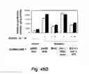 Fig. 67 - Insulin-responsive DNA binding proteins-1 and methods to regulate insulin-responsive genes