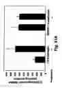 Fig. 73 - Insulin-responsive DNA binding proteins-1 and methods to regulate insulin-responsive genes