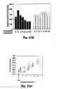Fig. 77 - Insulin-responsive DNA binding proteins-1 and methods to regulate insulin-responsive genes