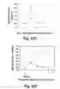 Fig. 79 - Insulin-responsive DNA binding proteins-1 and methods to regulate insulin-responsive genes