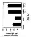Fig. 80 - Insulin-responsive DNA binding proteins-1 and methods to regulate insulin-responsive genes