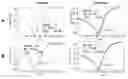 Fig. 01 - Methods, compositions and kits for detection and analysis of antibiotic-resistant bacteria