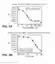 Fig. 06 - COMPOSITIONS, METHODS AND KITS FOR REAL-TIME ENZYME ASSAYS USING CHARGED MOLECULES