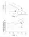 Fig. 07 - Patterning method