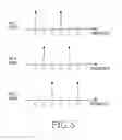 Fig. 05 - Apparatus and method for supporting cells with different characteristics in a broadband wireless communication system