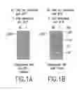 Fig. 02 - Antisense oligonucleotides capable of inhibiting the formation of capillary tubes by endothelial cells and methods of treating ophthalmic and dermatological diseases