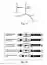 Fig. 02 - Methods for producing microRNAs