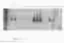 Fig. 08 - Methods for producing microRNAs
