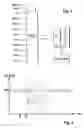 Fig. 04 - Process for controlling an internal combustion engine