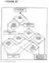 Fig. 24 - Mobile instrument, viewing device, and methods of processing and storing information