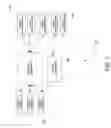 Fig. 03 - CONSOLIDATING ONLINE PURCHASE TRANSACTIONS