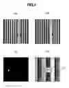 Fig. 04 - Method and system for observing a specimen using a scanning electron microscope