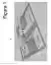 Fig. 02 - Sensor device comprising elongated nanostructures
