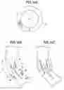 Fig. 09 - Radio frequency identification tag