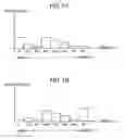 Fig. 06 - Short exposure time which is combined with a long exposure time in acccordance with a scene change