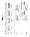 Fig. 06 - Picture signal processing apparatus and picture signal processing method