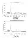 Fig. 07 - Surface enhanced Raman spectroscopy (SERS) systems for the detection of viruses and methods of use thereof