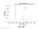 Fig. 09 - Surface enhanced Raman spectroscopy (SERS) systems for the detection of viruses and methods of use thereof