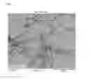 Fig. 02 - PROCESS FOR THE PREPARATION OF A CATALYST FOR THE PRODUCTION OF CARBON NANOTUBES