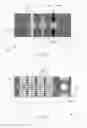 Fig. 09 - Polymer devices for therapeutic applications