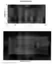 Fig. 07 - Reverse micelle compositions for delivery of metal cations comprising a diglyceride and a phytosterol and method of preparation