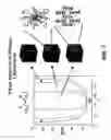 Fig. 02 - Fabrication of complex three-dimensional structures based on directed assembly of self-assembling materials on activated two-dimensional templates