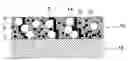 Fig. 01 - ELECTROPHOTOGRAPHIC CARRIER