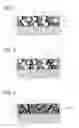 Fig. 02 - ELECTROPHOTOGRAPHIC CARRIER