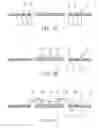Fig. 03 - Manufacturing process of leadframe-based BGA packages