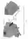 Fig. 02 - INFLUENZA VIRUS NUCLEIC ACID MICROARRAY AND METHOD OF USE