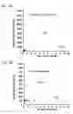 Fig. 04 - MULTIPLEX ASSAY METHOD FOR MIXED CELL POPULATIONS