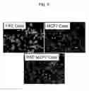 Fig. 06 - MULTIPLEX ASSAY METHOD FOR MIXED CELL POPULATIONS