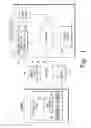Fig. 02 - Customized patient surgical plan